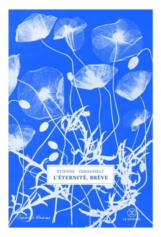 l-eternite,-brève-9782370552068