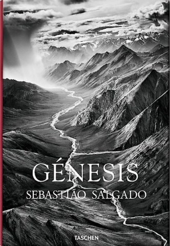 GeNESIS-9783836542609