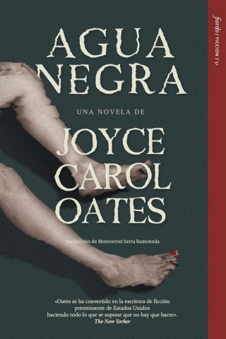 Agua-negra-9786316630148