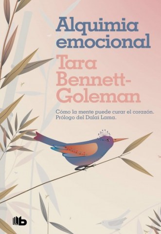 Alquimiamocional-9788413141312