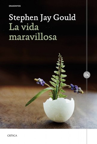 La-Vida-maravillosa-9788417067687