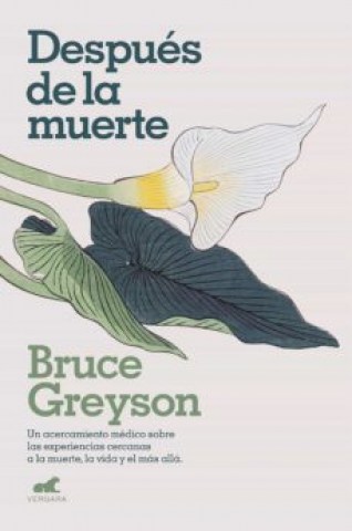 Despues-muerte-9788418045578