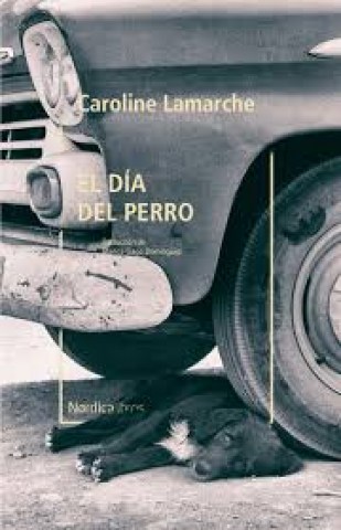 El-Dial-perro-9788418067181