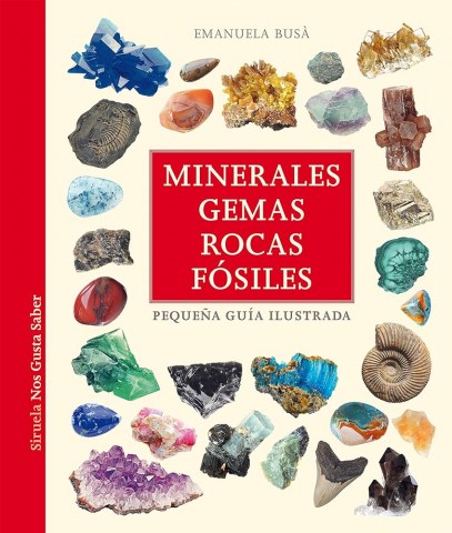 Minerales,-gemas,-rocas,-fosiles-9788419419866