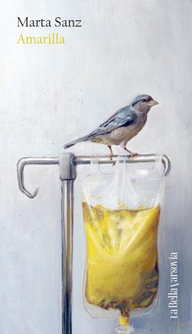 Amarilla-9788433947727