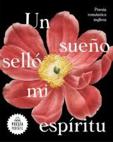 un-sueño-sello-mispiritu-9788439735328