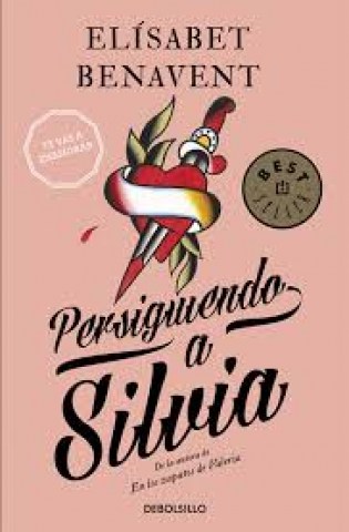 PERSIGUIENDO-A-SILVIA-9788490628522