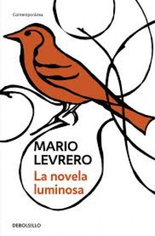 La-Novela-luminosa-9788499080260