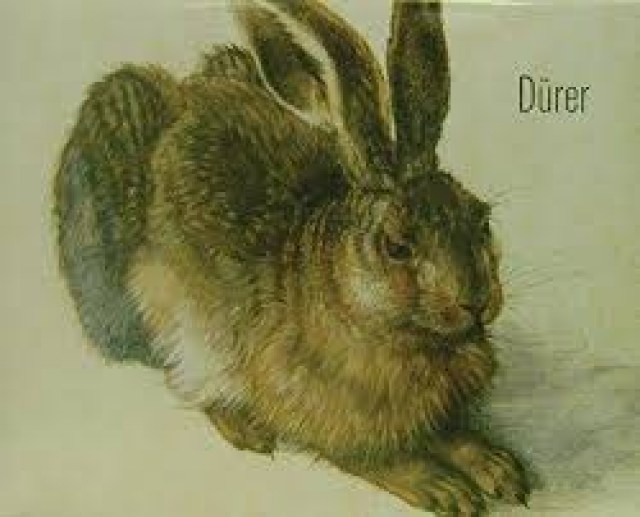 DURERO-PASSEPARTOUT-9788881179664