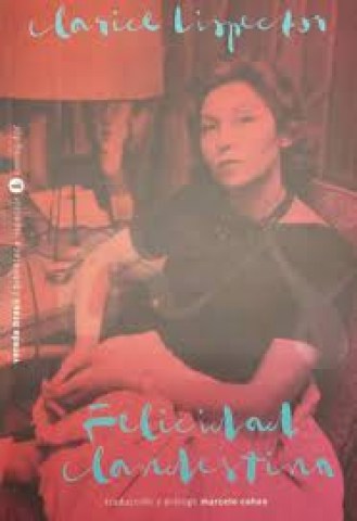 Felicidad-clandestina-9789500532532