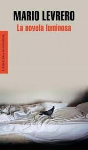 La-Novela-luminosa-9789873650147
