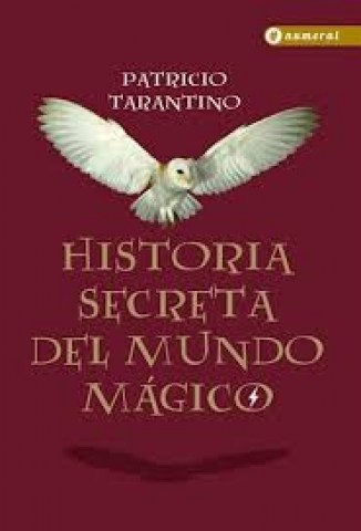 Historia-secretal-mundo-magico-9789874085245