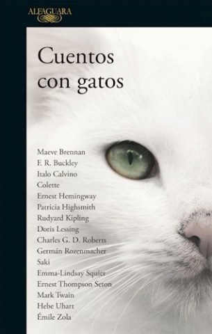 Cuentos-gatos-9789877384710