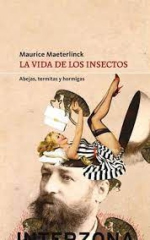 La-Vida-insectos-9789877900187