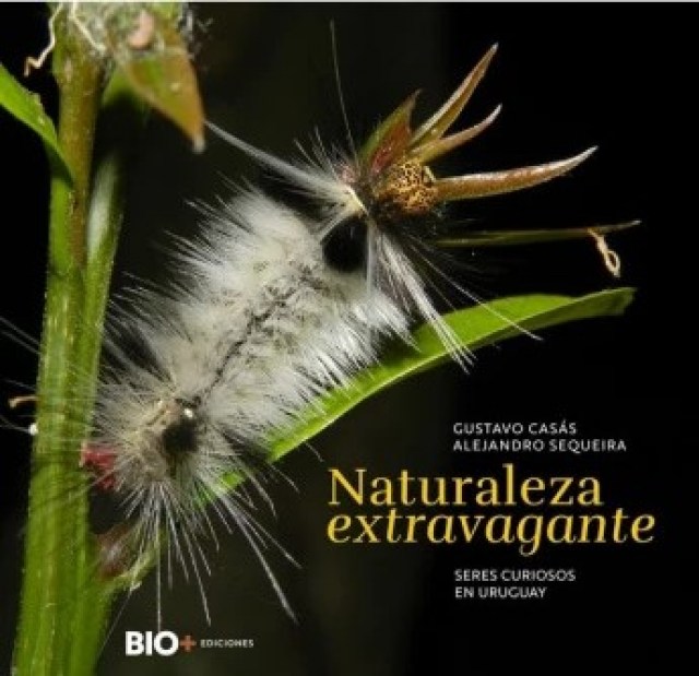 Naturalezaxtravagante-Seres-curiososn-Uruguay-9789915429618