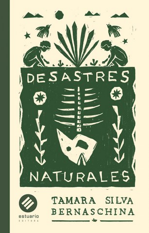 Desastres-naturales-9789915675121