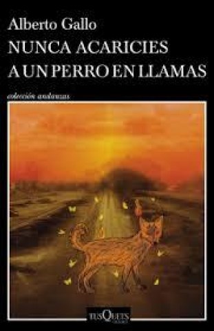 Nunca-acaricies-a-perron-llamas-9789915687261