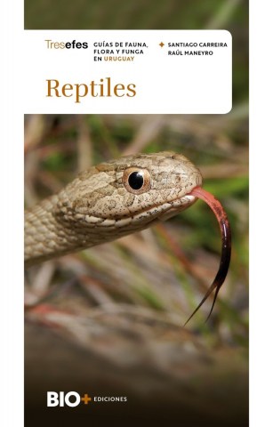 Reptiles-9789915982427