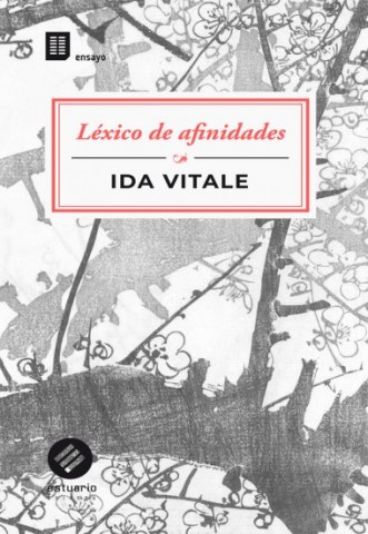Lexico-afinidades-9789974908925