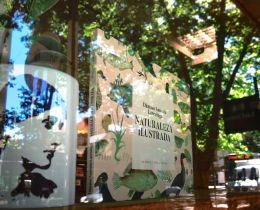 S15196009 577719879087877 4728438825997182874 O